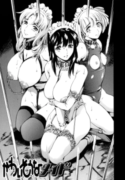 Page 134 of LUST TRAIN Shokai Genteiban