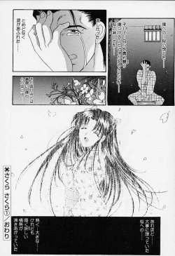 Page 21 of sakura sakura