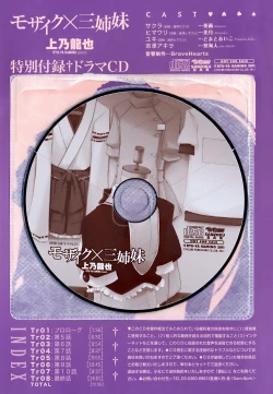 Page 4 of Mosaic x Sanshimai