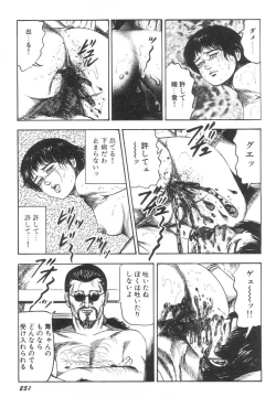 Page 256 of Bishoujo mesuinu Choukyou