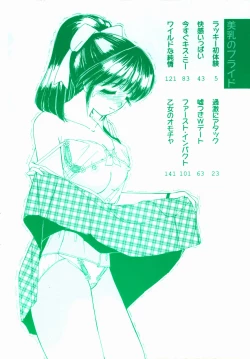 Page 4 of Binyuu no Pride