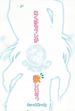 Page 26 of Niku wa Sefure ga Hoshii no