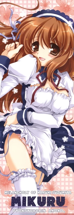 Page 19 of Asahina Mikuru no Bunkasai