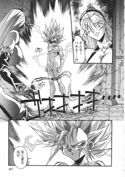 Page 250 of Kanin Rankou - Soukougeki TAC!! Soushuuhen