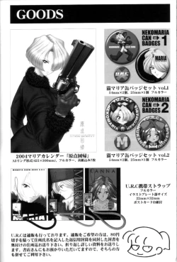 Page 74 of In Sangoku Musou 2