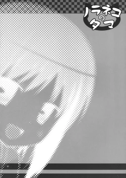 Page 24 of Kirigami Shima | Island Of The Mist God