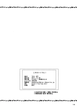 Page 13 of KogaCyclone