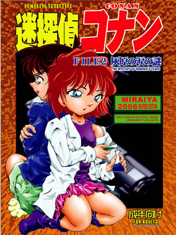 Download Bumbling Detective ConanFile02-The Mystery of Haibara's Tears