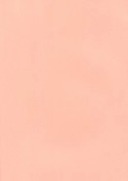 Page 2 of Lolicon Special 5