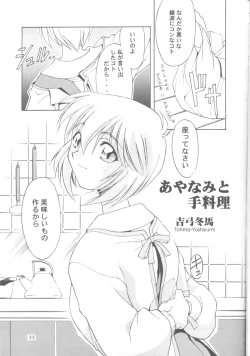 Page 34 of Ayanami ReiII