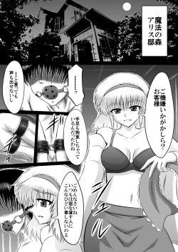 Page 2 of 大魔女アリス＝マーガトロイドの専属オナホ
