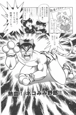 Page 43 of Aa! Nekketsu Lolita Banchou