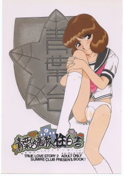 Page 1 of aobadai koukou hakusho