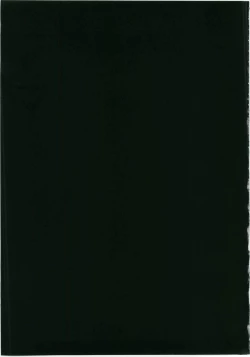 Page 29 of Marisa to Kinoko to Kichiku na Miko