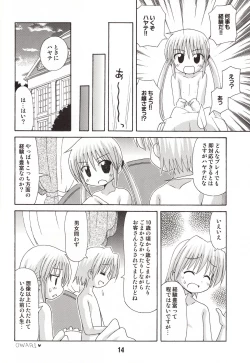 Page 14 of Hinagix