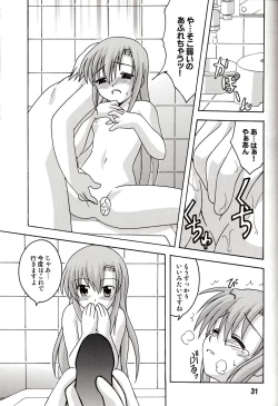 Page 31 of Hinagix