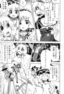 Page 4 of ごろごろアリスさん