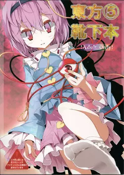Download Touhou Kutsushita Bon 5 | Touhou Socks Book 5