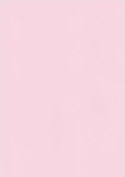 Page 4 of Oppai to Louise