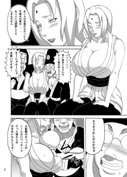 Page 3 of Tsunade no Insettai