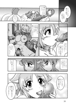 Page 29 of 淫欲改造:レオンミシェリ・ガレット・デ・ロワ