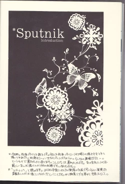 Page 10 of Sputnik Introduction