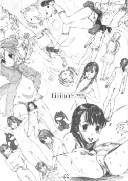 Page 2 of Limitter SHT202102