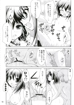 Page 17 of Kyonko no Sainan