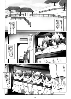 Page 5 of Prime Study