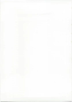 Page 21 of Party Bullets