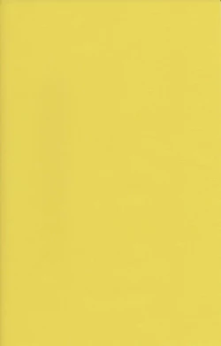 Page 2 of Chie Tomoe