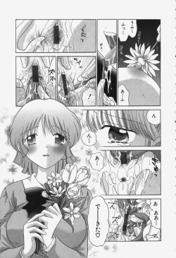 Page 31 of Tawawa ni Minottemasu!