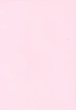 Page 4 of Tsun Kanojo to Nama Hame