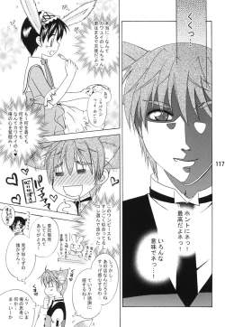 Page 116 of Usazukintan. Matome