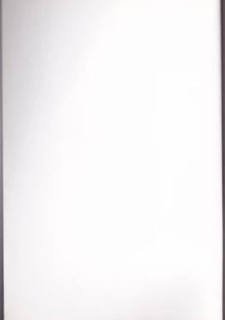 Page 2 of Oikari Nia-chan