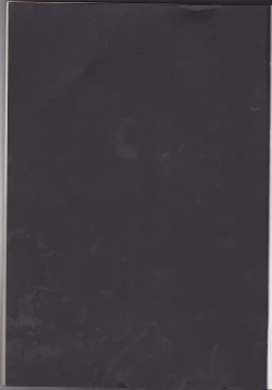 Page 27 of Margarita