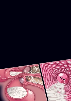 Page 119 of SMILE PARTY DL