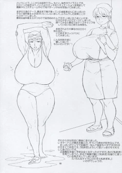 Page 17 of Hybrid Tsuushin Vol.8.5