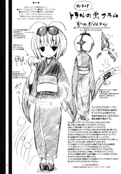 Page 31 of Yukari no Iu Koto wo Kikinasai!