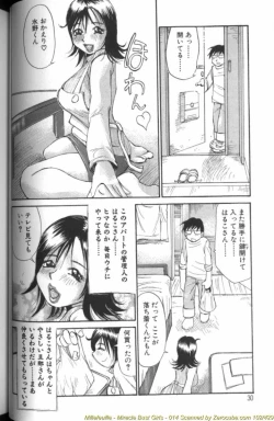 Page 29 of Ryoukan Shikou