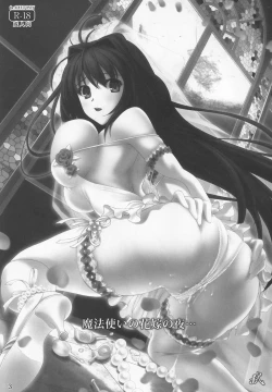 Page 2 of Mahoutsukai no Hanayome no Yoru