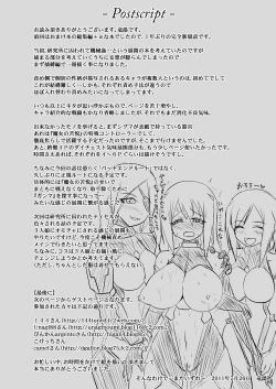 Page 35 of Shield Knight Elsain Vol.10 MALICIOUS SISTERS