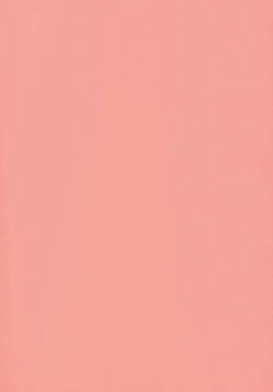 Page 2 of THE Uchouten Anal