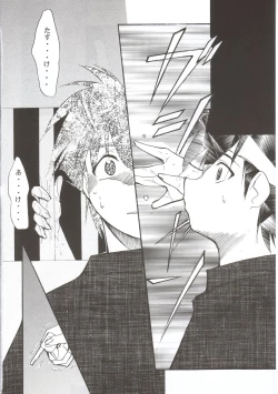 Page 21 of RANMA1/2 WORKS 3