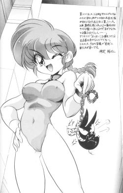 Page 3 of DX Deluxe Chuuka Sanmai