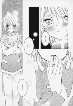 Page 22 of Pink Snow memoria