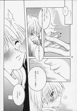 Page 29 of Pink Snow memoria