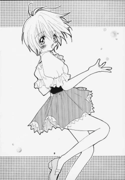 Page 3 of Pink Snow memoria