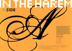 Page 2 of IN THE HAREM A SIDE