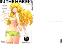 Download IN THE HAREM A SIDE